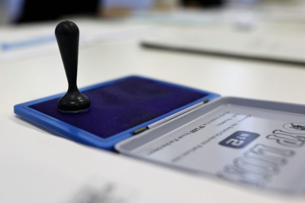 aep procesul electoral s a desfasurat cu corectitudine acuzatiile lansate de catre un competitor electoral sunt false si nefondate 682de7ab8ae85