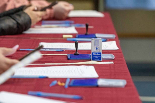 aep respinge acuzatiile false lansate de aur in legatura cu procesul de vot informatii false raspandite in mod iresponsabil 682efd546a716