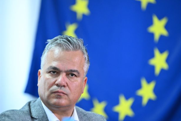 alegeri prezidentiale 2025 adrian vestea pnl procesul electoral a fost corect si transparent 682a3968c1f40