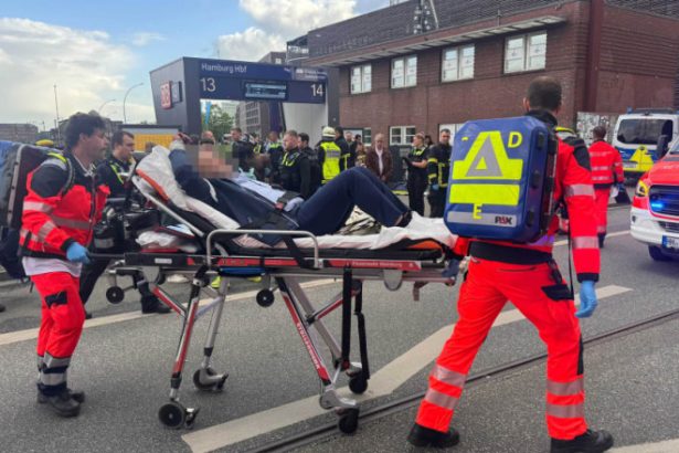 atac cu cutitul in gara centrala din hamburg ce spun politistii despre femeia care a ranit 18 oameni 6831e578b8e92
