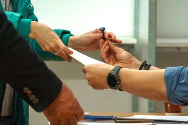 aur intalniri cu reprezentantii mae mai si aep partidul sustine ca vrea sa previna fraudarea votului in special in diaspora 682857c44fb53