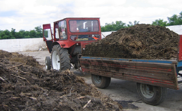 colectare si valorificare a gunoiului de grajd la osica de sus 6826faa8023a8