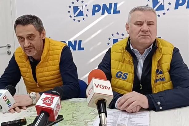 cum vor incerca stirbu si de mezzo sa si asume victoria lui nicusor dan 682aca231d236