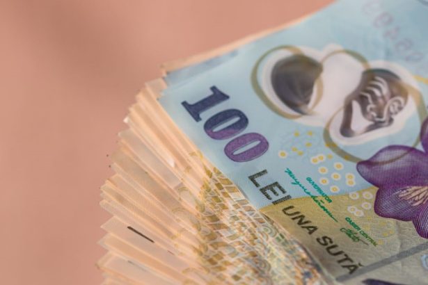 datoria romaniei in crestere guvernul a atras 50 din nevoia de finantare pentru 2025 statul plateste cele mai mari dobanzi din ue 6834c0cbc0c6e