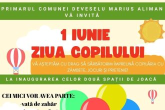 deveselu pe 1 iunie se vor inaugura doua locuri de joaca 6836d681cfea0