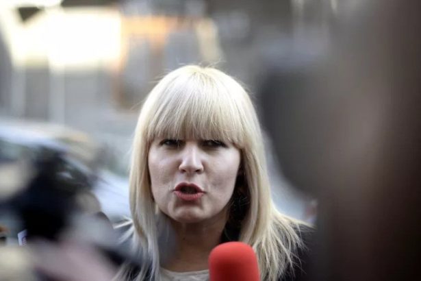 elena udrea a obtinut in instanta deducerea din pedeapsa a mai multor zile petrecute in arest preventiv decizia poate fi atacata 6835bdda73ca2