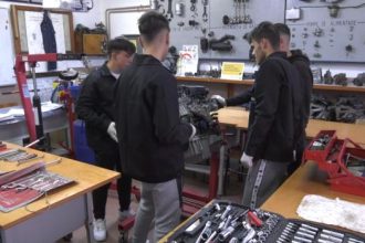 fii meserias prin invatamantul profesional 682dbfbc0ac31