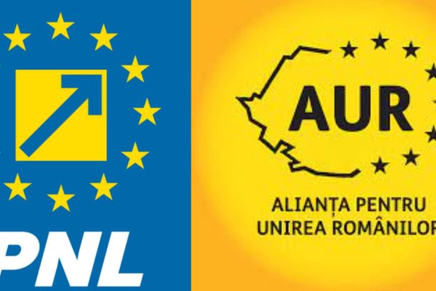 fisuri in alianta dintre pnl si aur de la slatina consilierii partidului lui simion n au votat un proiect al primarului de mezzo 6835fc8105faa