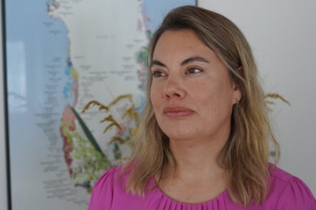 groenlanda ridica miza jocului in arctica china are avantajul daca europa si sua nu investesc masiv in exploatarea resurselor 6836e62cc6315