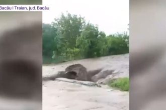 imaginile dezastrului provocat de ploile torentiale cu grindina case masini drumuri si fantani au fost afectate de apele involburate 6833049928c45