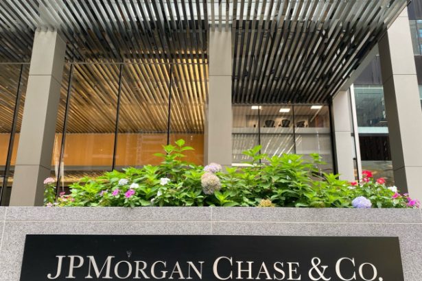 jpmorgan victoria lui nicusor dan reduce riscul politic o scadere a ratingului sub nivelul de investitii mai putin ingrijoratoare 682b287c8adaa