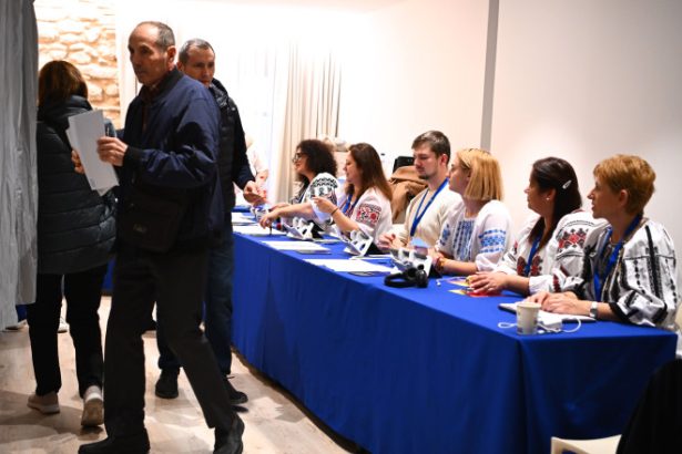 mae a anuntat incheierea votului in strainatate procesul electoral s a derulat in conditii bune 682a3a94ce4c9