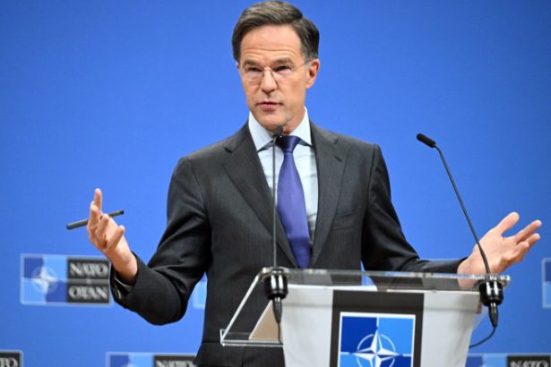 mark rutte spera ca tarile nato sa convina o tinta generala de 5 din pib pentru aparare la summitul de la haga 68349ff03d68a