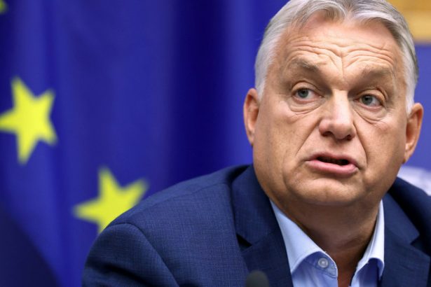 mesajul transmis de viktor orban lui nicusor dan dupa castigarea alegerilor prezidentiale 682b44a7d0dc3