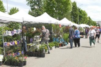 parfum de flori si culoare la expo flora 6830608371d40