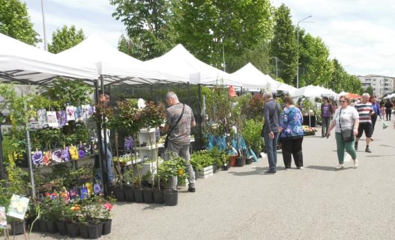 parfum de flori si culoare la expo flora 6830608371d40