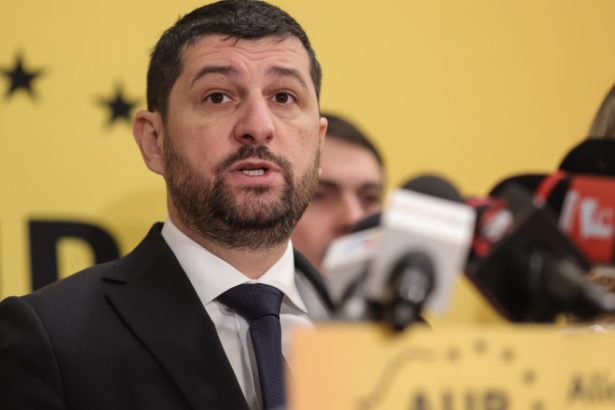 prim vicepresedintele aur marius lulea tara are nevoie de conducere nu de improvizatie ce mesaj trebuie sa inteleaga nicusor dan 682ac15febe95