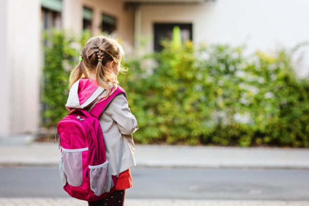 profesoara din cluj acuzata ca a agresat o eleva de 10 ani femeia a fost retinuta si plasata sub control judiciar 683024b48f055