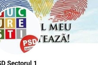 psd sector 1 a reclamat la bec ca le a fost falsificata pagina oficiala de facebook 68289017344e3