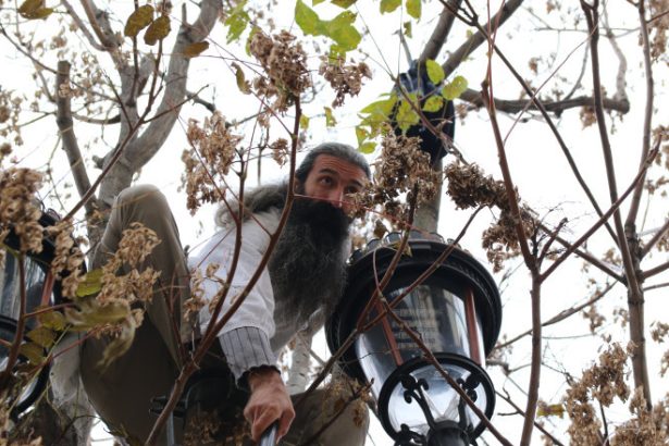 stegarul dac arestat preventiv fapta pentru care tribunalul bucuresti a luat aceasta decizie 6830b4ca74498