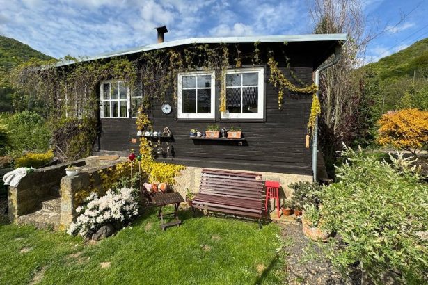 tendinte in decorul pentru gradina pentru anul 2025 ce accesorii sa alegi 68358e5bea619