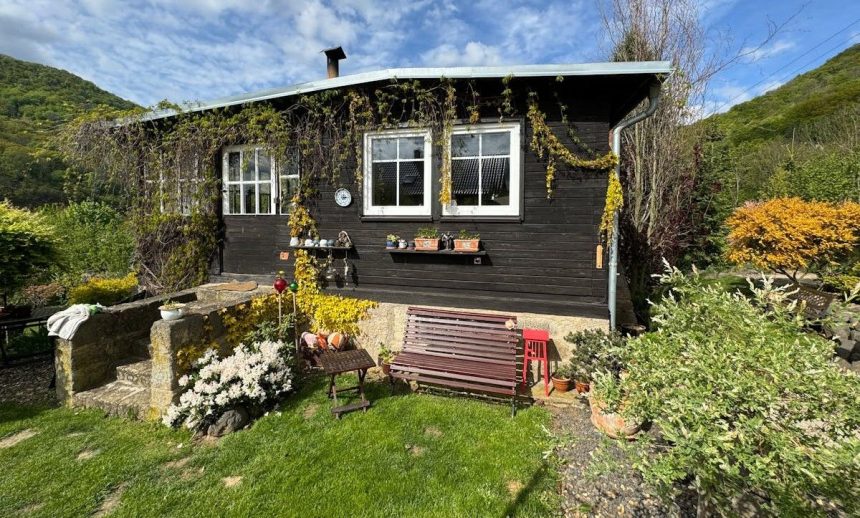 tendinte in decorul pentru gradina pentru anul 2025 ce accesorii sa alegi 68358e5bea619