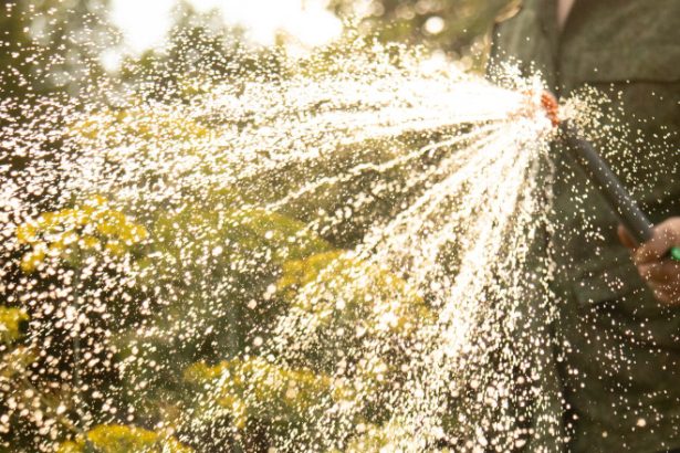 video apa mai scumpa pentru cei care uda gradinile comuna care a majorat de patru ori tariful pentru consumul in exces mi se pare normal 6831681b29c3c