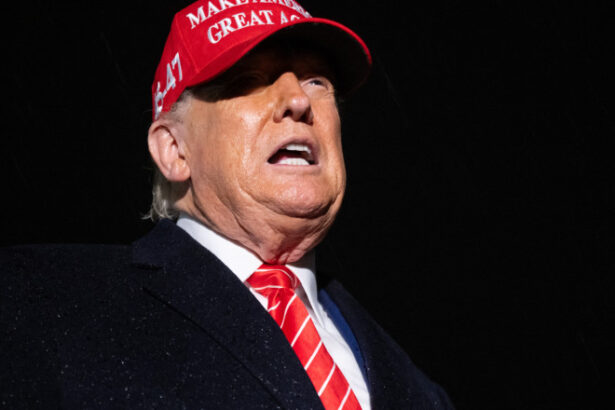 video donald trump vrea sa dubleze tarifele la otel si aluminiu la 50 incepand din 4 iunie 683acc7568360