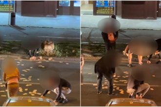video incident neobisnuit in timisoara o femeie a aruncat 13 000 de euro in mijlocul strazii de ce a recurs la acest gest 6828dfb5b1111