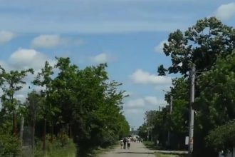 video localitatea in care nicusor dan nu a primit niciun vot la primul tur al prezidentialelor dar a castigat cu 80 in al doilea 682b53e5a5778