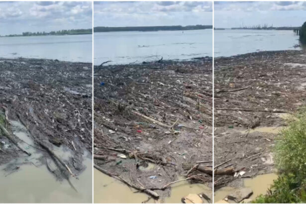 video malul dunarii sufocat de gunoaie imagini dezolante cu tonele de deseuri aduse de ape in urma viiturilor din ultimele zile 683a9a5d667c4