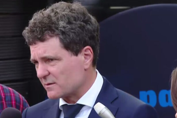 video nicusor dan dupa decizia ccr privind declaratiile de avere daca legea interzice ani sa publice o sa o public pe pagina presedintiei 683954962b6a4