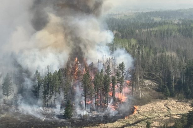 video peste 17 000 de persoane evacuate din cauza incendiilor de vegetatie in centrul canadei flacarile se deplasau foarte repede 683821925d60f