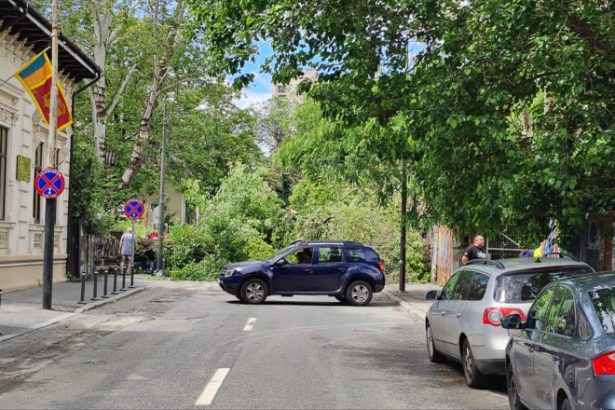 video un copac a cazut pe o strada din centrul bucurestiului doua masini avariate circulatia in zona este blocata 6835b6d66096a