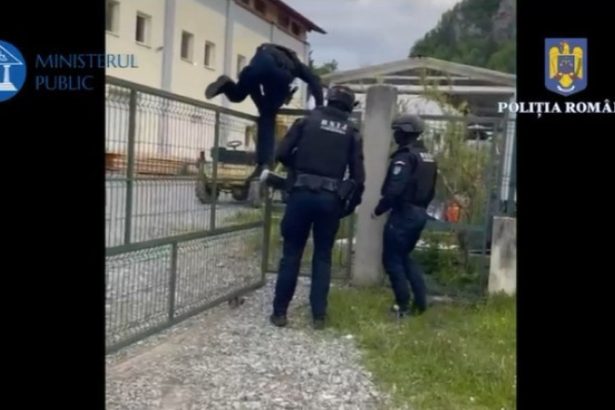 video zeci de perchezitii in maramures in dosare de contrabanda braconaj uz de arma fara drept purtare abuziva 682ed0cdc95ba