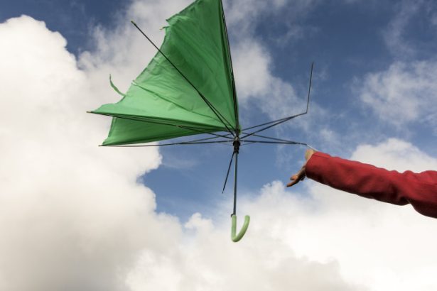 vremea cod galben de vant puternic in cinci judete din estul tarii prognoza pentru bucuresti 682c2ddb0eed3