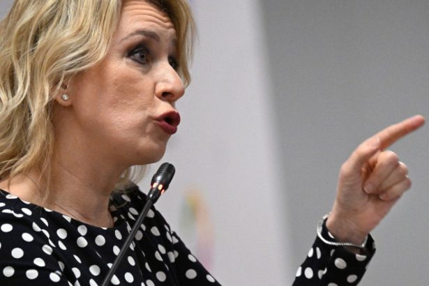 zaharova a lansat critici acide la adresa romaniei dupa ce mae a denuntat interferente rusesti sa nu numiti asta alegeri 682a42ddaebe5
