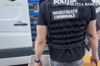 zeci de porumbei de concurs si de reproducere furati din belgia gasiti in mehedinti valoarea pasarilor depaseste 22 milioane de euro 68274b67e9a2e