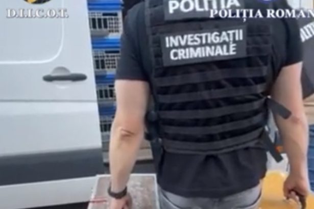 zeci de porumbei de concurs si de reproducere furati din belgia gasiti in mehedinti valoarea pasarilor depaseste 22 milioane de euro 68274b67e9a2e