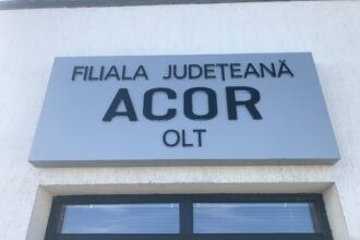 16 iunie alegerile acor 684be65003cab