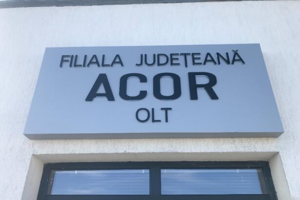 16 iunie alegerile acor 684be65003cab