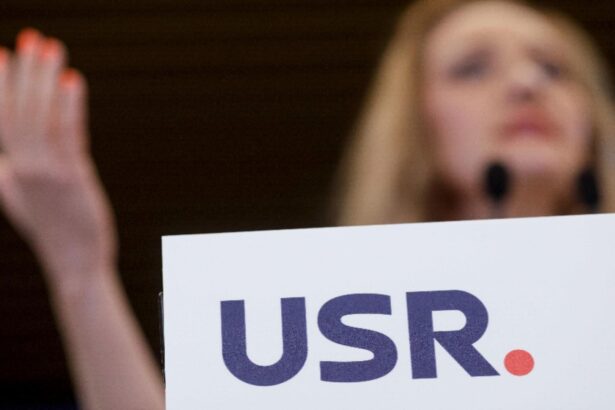 9 pentru sefia usr fostul presedinte elena lasconi a demisionat in luna mai 68493762f228a