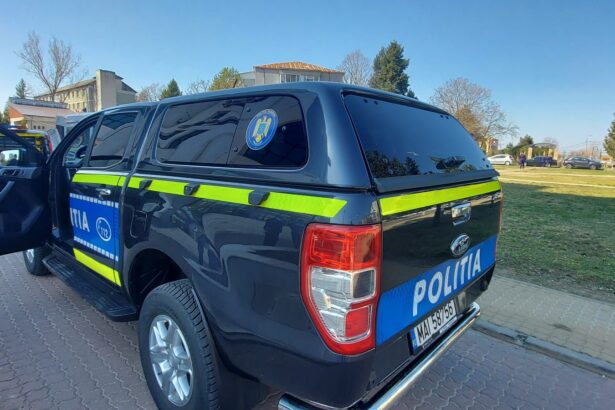 a abandonat doua pisici pe o strada din slatina si a fost amendat de politia animalelor 684c1cf76e8bb