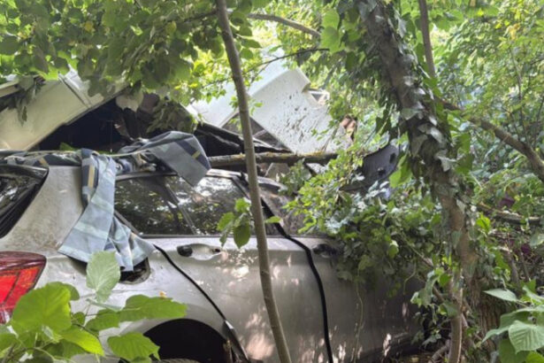 accident grav in tulcea intre un camion si doua autoturisme un barbat a murit iar o femeie si doi copii au fost raniti 68470de759016