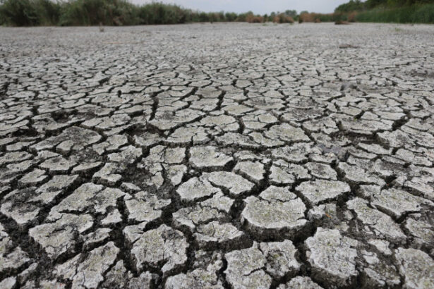 avertismentul climatologilor peste jumatate din europa a fost afectata de seceta pana la jumatatea lunii mai care e situatia romaniei 683ee469144dd