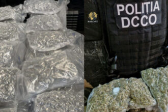 cinci persoane retinute si doua sub control judiciar intr un caz trafic de substante psihoactive aduse din olanda o doza costa 15 lei 684c6fffc42cb
