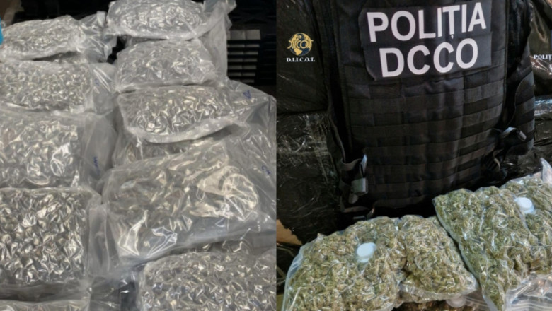 cinci persoane retinute si doua sub control judiciar intr un caz trafic de substante psihoactive aduse din olanda o doza costa 15 lei 684c6fffc42cb