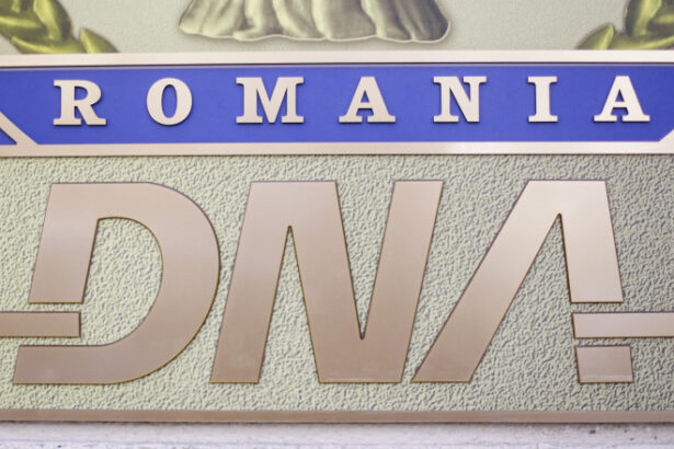 conferinta privind mituirea functionarilor publici straini organizata de dna a fost discutat cazul mitei de la baza kogalniceanu 68495575a4019