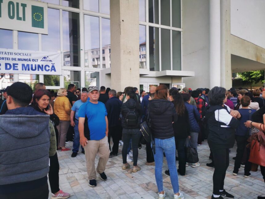 cu sprijinul ajofm olt peste 1 500 de persoane si au gasit o slujba 6862a5cb35692