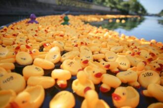 cursa de ratuste in scop caritabil la podul olt 684033edc528e